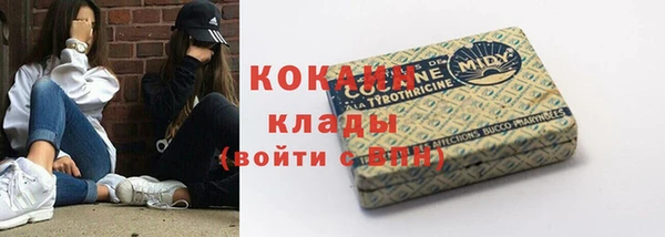 сатива Нягань
