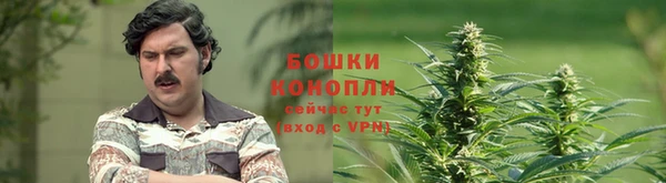 альфа пвп Нязепетровск
