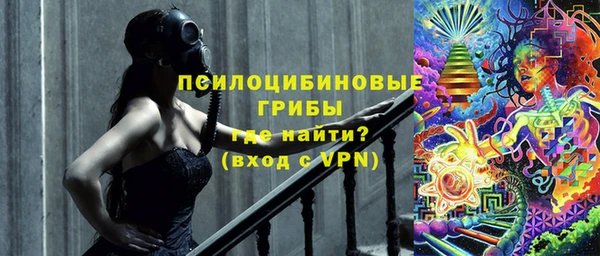 сатива Нягань