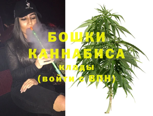 мяу мяу мука Няндома